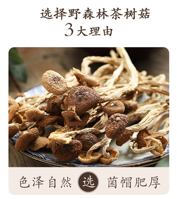 茶樹(shù)菇_03.jpg